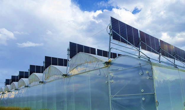In Frankreich werden bewegliche Solarmodule auf Gewächshäusern getestet. (Bild: Jean Garcia, SunR)