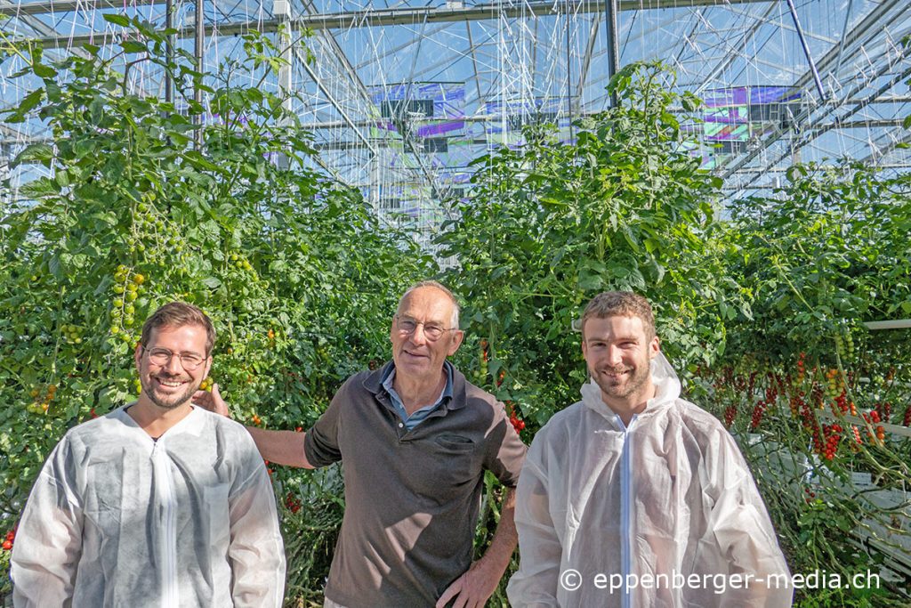 Nicolas Weber (links) und Jonas Roch (rechts) von Voltiris SA mit Gemüsegärtner Alexandre Cudet.
