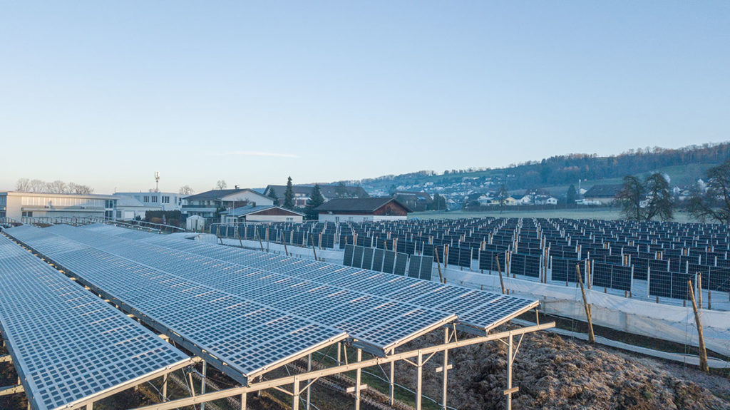 Agri Photovoltaik im Luzerner Seetal in Aesch.